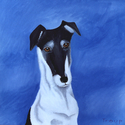 JACK RUSSELL JACK%20RUSSELL (thumbnail)