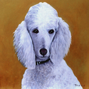 POODLE POODLE (thumbnail)