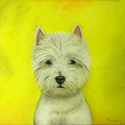 SIMON SIMON (thumbnail)