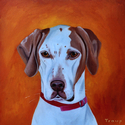 HOUND HOUND (thumbnail)