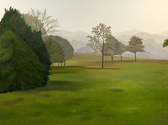 Field in Morning Field%20in%20Morning (thumbnail)