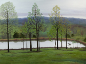 Pond with Heron Pond%20with%20Heron (thumbnail)
