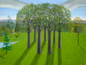 Circle Trees Circle%20Trees (thumbnail)
