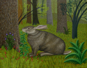 THE%20RABBIT (thumbnail)