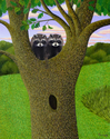 RACCOONS RACCOONS (thumbnail)