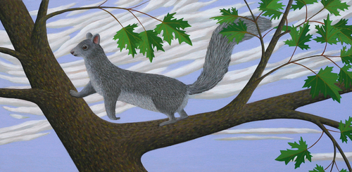 THE%20SQUIRREL (thumbnail)