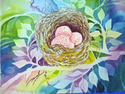 "Pink Eggs" %22Pink%20Eggs%22 (thumbnail)