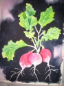 Radish Radish (thumbnail)