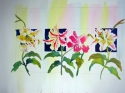 Class lilies Class%20lilies (thumbnail)
