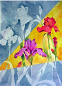 Iris Triangle Iris%20Triangle (thumbnail)