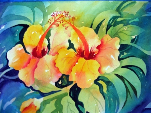 Florida%20Hibiscus (large view)