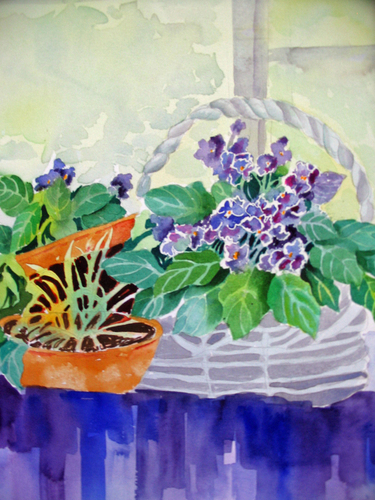 Violets (large view)