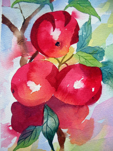 Apples%20on%20the%20Vine (large view)