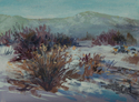 Painting--Acrylic-ImpressionismColorado Chamisa