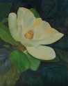 Painting--Acrylic-BotanicalMagnificent Magnolia