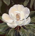 Painting--Acrylic-BotanicalWhite Magnolia