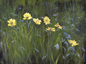 Painting--Acrylic-AbstractMeadow Dance
