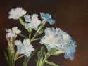 White Phlox