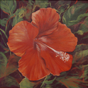 Painting--Acrylic-BotanicalHibiscus Blossom