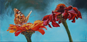 Painting--Acrylic-BotanicalFlowers & Butterfly