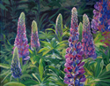 Painting--Acrylic-BotanicalSunlit Lupines