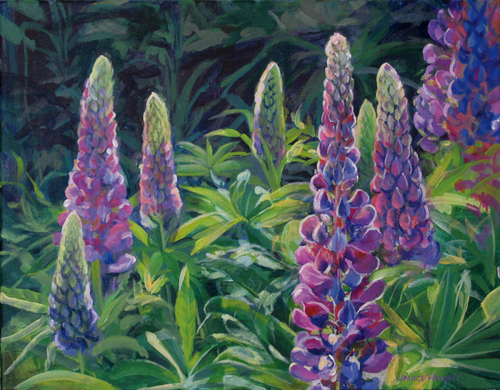 Painting-Botanical-Sunlit Lupines