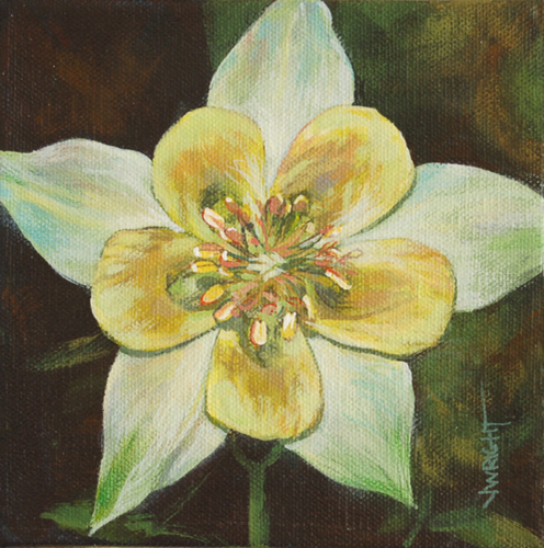 Painting-Botanical-Starflower