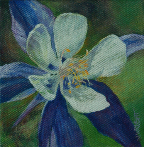 Painting-One Columbine