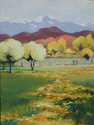 Spring at the Wheelwright Ranch Spring%20at%20the%20Wheelwright%20Ranch (thumbnail)