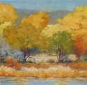 Across the Rio Grande Across%20the%20Rio%20Grande (thumbnail)
