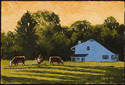 Cows%20Bedminster (thumbnail)
