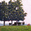 Cows%20and%20Trees (thumbnail)