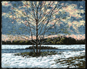 Lone%20Tree%20Snow (thumbnail)