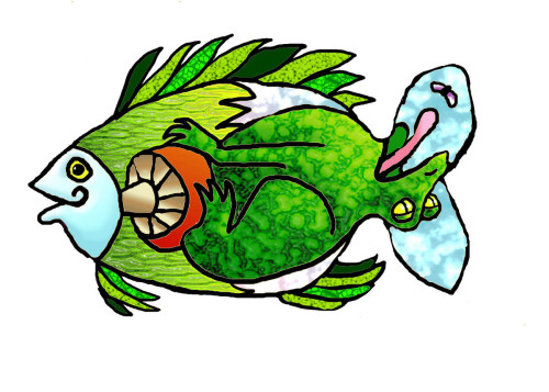 Digital Art-Illustration-Frog Fish