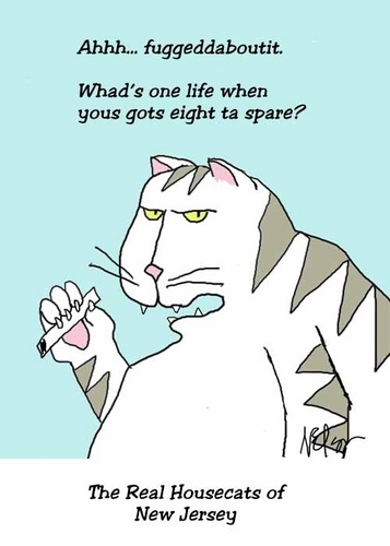 Digital Art-Housecat 3