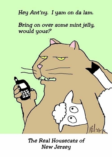 Digital Art-Housecat 4