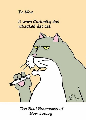 Digital Art-Housecat 5