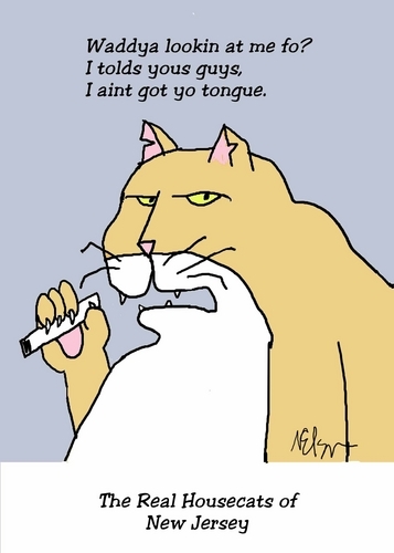 Digital Art-Housecat 2