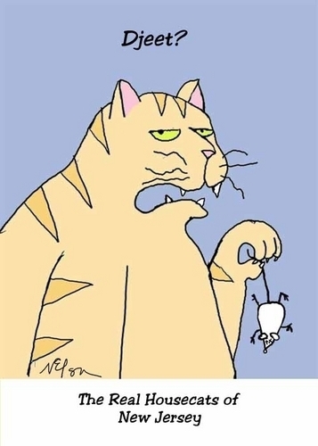 Digital Art-House cat 11