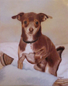 Tico