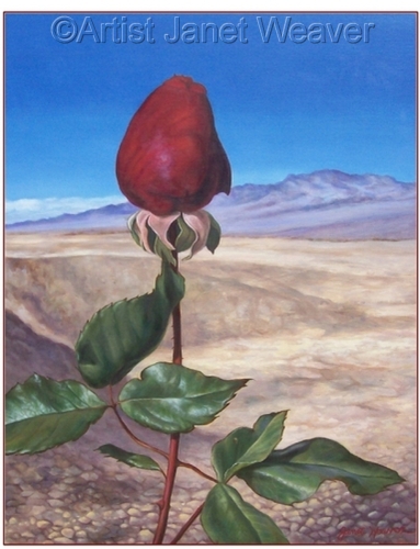 Sigrid%27s%20Rose%3A%20%20Bloom%20Where%20You%20are%20Planted (large view)