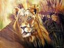 Lion%20King (thumbnail)