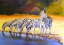 Zebras%20at%20Waterhole (thumbnail)