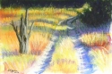 Bush%20Road%202 (thumbnail)