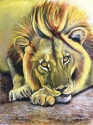 Pensive%20Lion (thumbnail)