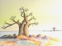 Kubu%20with%20Baobab (thumbnail)