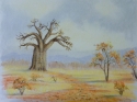 Baobab%20with%20road (thumbnail)