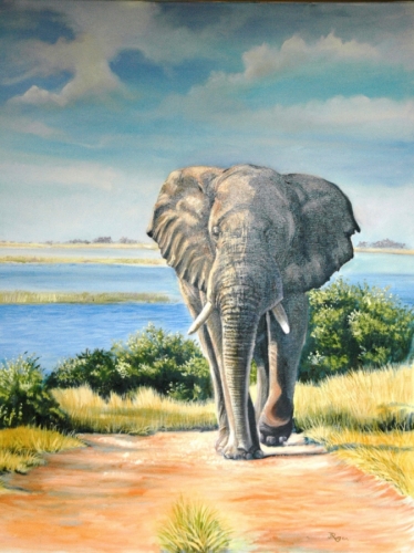 Chobe%20Bull (large view)