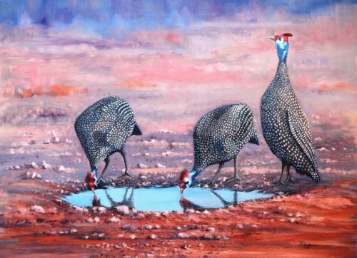 Birds