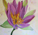Painting-Purple Magnolia